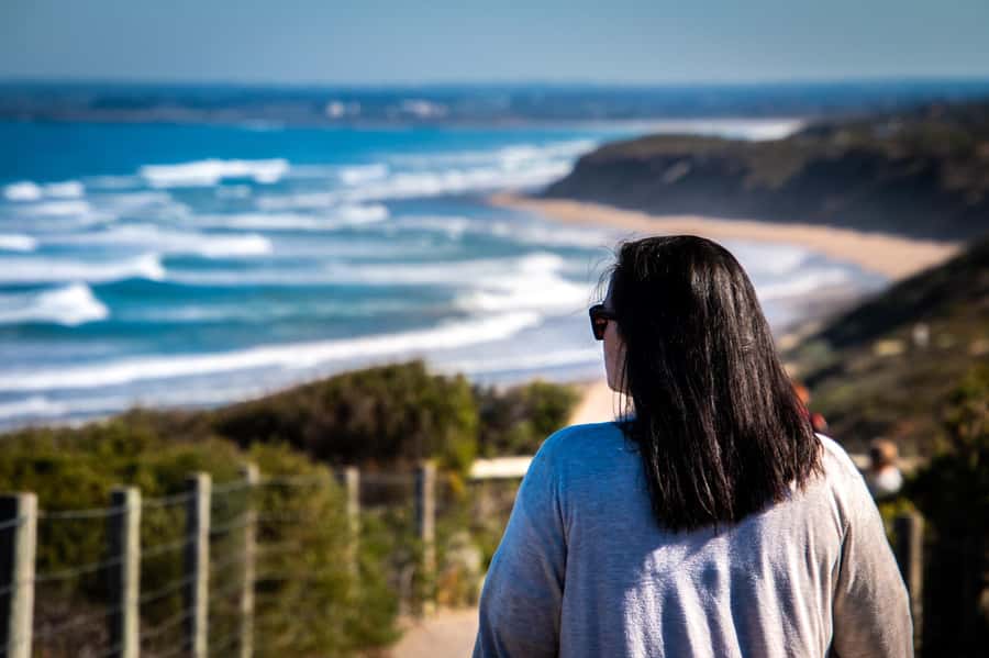 From Melbourne: Bay Sightseeing and Ferry Ride with Lunch - Rocky Creek Strawberry Farm (Nov–Apr): A Seasonal Stop With Real Hands-On Fun