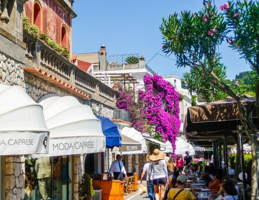 From Naples: Capri Guided Tour with Ferry Tickets & Minibus - Who should book this Capri day trip?