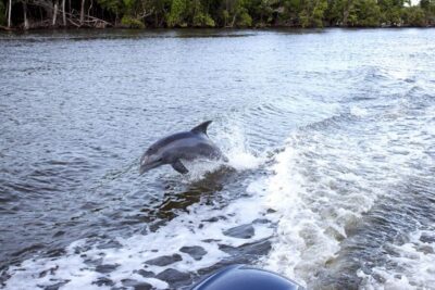 From Panama City, FL: Shell Island Ferry - St. Andrews Bay Ride: The Water Views Are Part of the Point