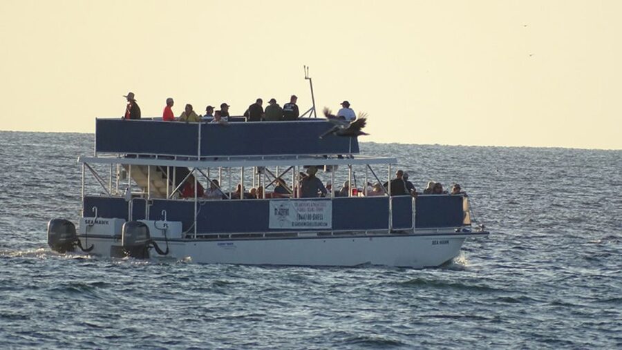 From Panama City, FL: Shell Island Ferry - Who This Trip Suits Best (And Who It Might Not)