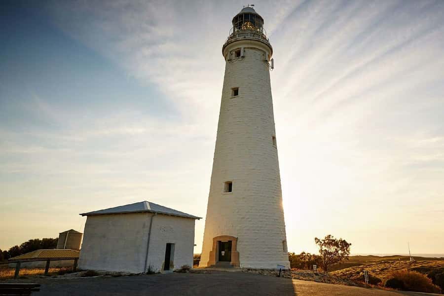 From Perth or Fremantle: Rottnest Island Ferry and Bus Tour - Book it or skip it: my decision guide