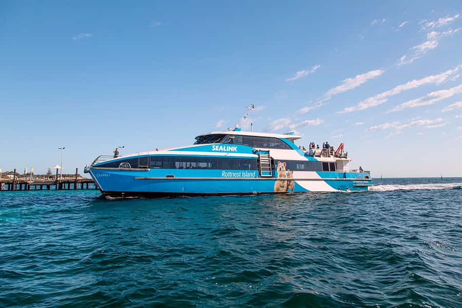 From Perth or Fremantle: Rottnest Island Ferry and Bus Tour - Free time after the tour: where to aim your hours