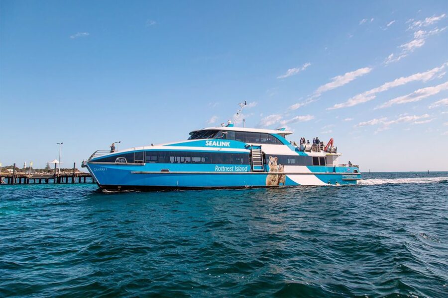 From Perth or Fremantle: Rottnest Island Ferry and Bus Tour - Who this Rottnest day trip suits best