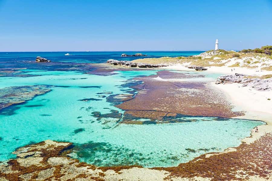 From Perth or Fremantle: Rottnest Island Ferry and Bus Tour - Perth vs Fremantle: choosing the trip style you’ll enjoy most