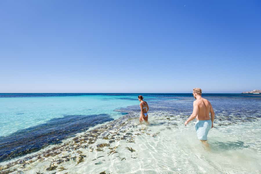 From Perth: Rottnest Island Ferry & Bus Day Tour - The 90-minute coach island tour: Quokkas and the meaning behind the views