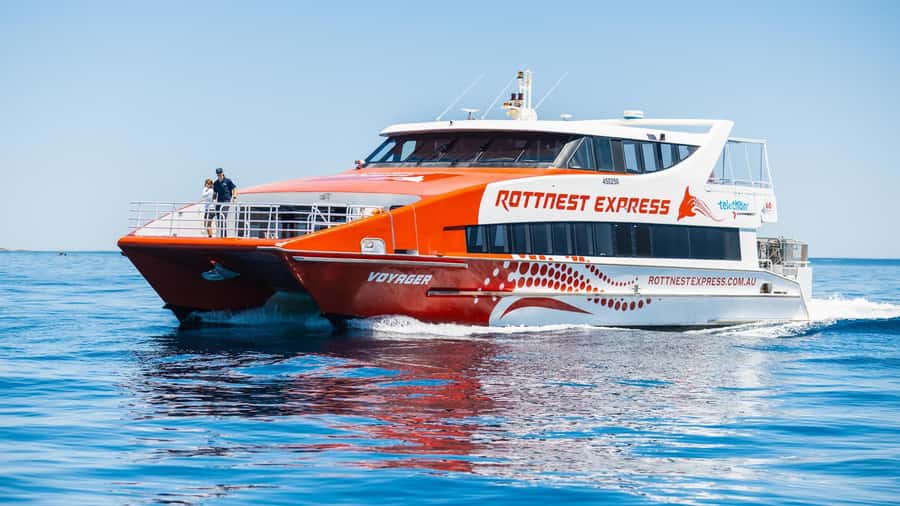From Perth: Rottnest Island Ferry & Bus Day Tour - Cathedral Rocks, fur seals, and humpback whale season