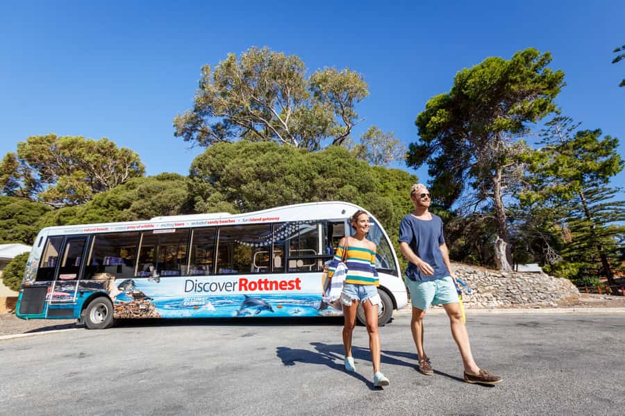 From Perth: Rottnest Island Ferry & Bus Day Tour - Arriving at Thompson Bay: where the island day really begins