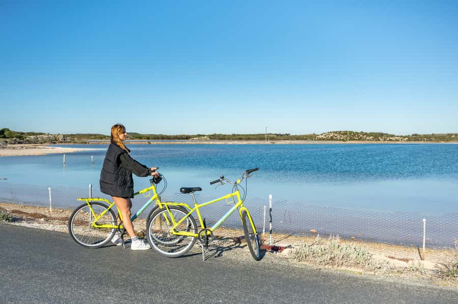 From Perth: Rottnest Island Full-Day Bike and Ferry Trip - Key things I’d plan around