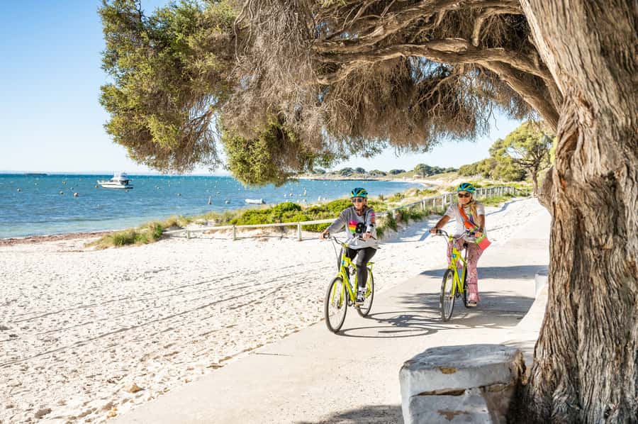 From Perth: Rottnest Island Full-Day Bike and Ferry Trip - Quokkas near the settlement: where to find them without chasing