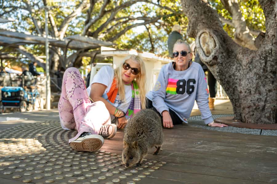 From Perth: Rottnest Island Full-Day Bike and Ferry Trip - Price and logistics: why $84 can feel like a bargain