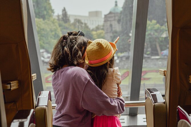 From Seattle: Round Trip by High Speed Ferry to Victoria, BC - Docking in Victoria’s Inner Harbour: Start Walking Fast
