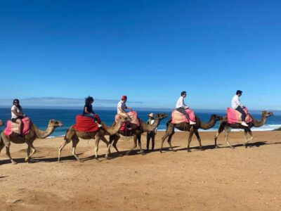 From Seville: 2, 3, or 4-Day Morocco Trip with Ferry & Guide - Tangier on Foot: Kasbah, Medina, Souks, and a Guided Lunch