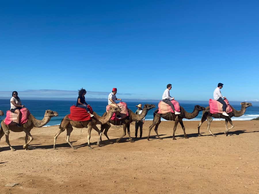 From Seville: 2, 3, or 4-Day Morocco Trip with Ferry & Guide - Tangier on Foot: Kasbah, Medina, Souks, and a Guided Lunch
