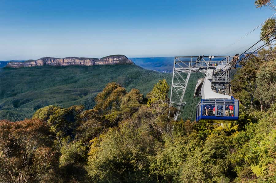 From Sydney: Blue Mountains, Scenic World, Zoo, & Ferry Ride - When you should choose this tour, and when you should skip it