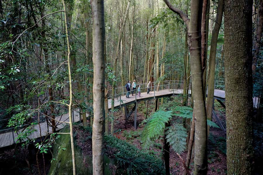 From Sydney: Blue Mountains, Scenic World, Zoo, & Ferry Ride - Echo Point and the Three Sisters: the view is the point