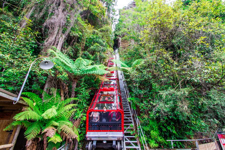 From Sydney: Blue Mountains, Scenic World, Zoo, & Ferry Ride - Morning pickup and how the timing helps you avoid the worst crowds