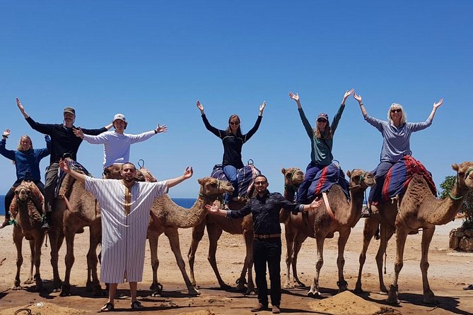 From Tarifa to Tangier: Exclusive Trip, Camel Ride, Lunch & Ferry - Tarifa to Tangier: How the Ferry Day Gets You Moving Fast