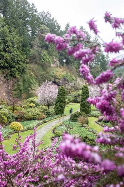 From Vancouver: Victoria, BC Ferry, Butchart Gardens Tour - Should You Book This Vancouver to Victoria Ferry and Butchart Tour?