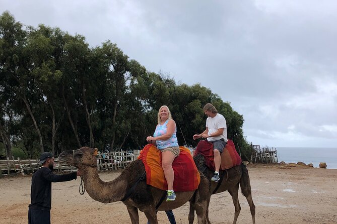 Full day Tangier Tour from Cruise or ferry from tarifa - A fast Tangier sampler from your cruise or ferry berth