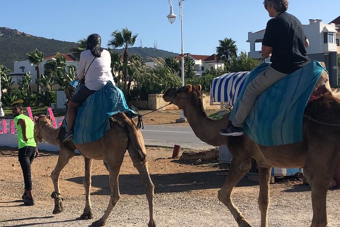 Full day Tangier Tour from Cruise or ferry from tarifa - Kasbah museum (Musee de la Kasbah): the politics behind the walls