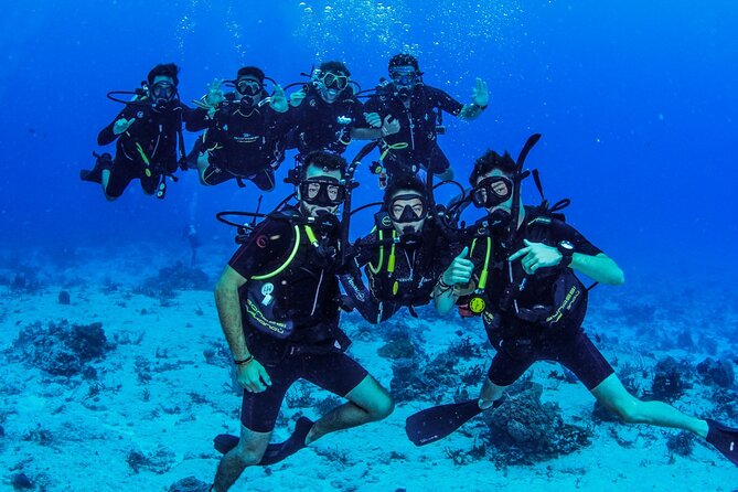 FunDiving in Cozumel - By Ferry - 2 Tanks in the wonderful Caribbean sea - Who this suits best in Cozumel