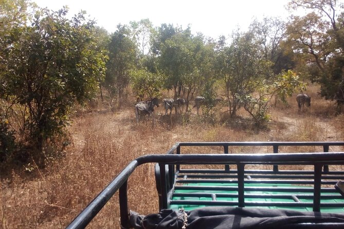 Gambia to Senegal Tour with Ferry Crossing and Safari Park - Key things to know before you go