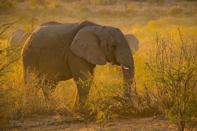 Gambia to Senegal Tour with Ferry Crossing and Safari Park - Who this tour fits best (and who should reconsider)