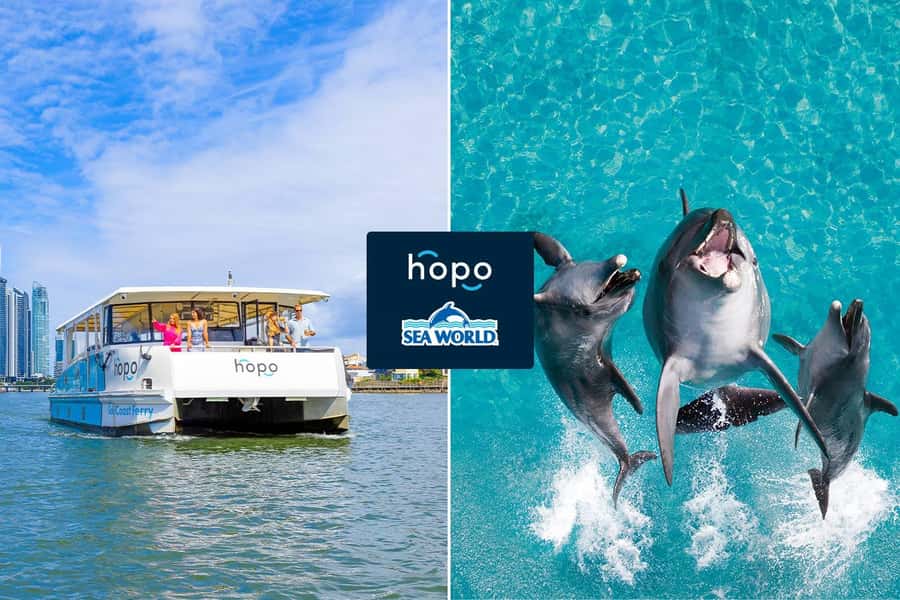 Gold Coast: Sea World Cruise & Entry Combo Ticket - Key things to know before you go