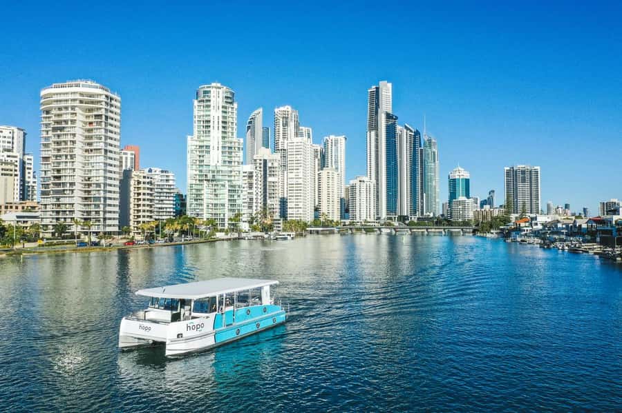 Gold Coast: Sea World Cruise & Entry Combo Ticket - Logistics that matter: check-in and staying on track