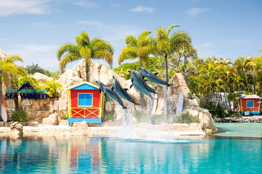 Gold Coast: Sea World Cruise & Entry Combo Ticket - Who should book this combo?