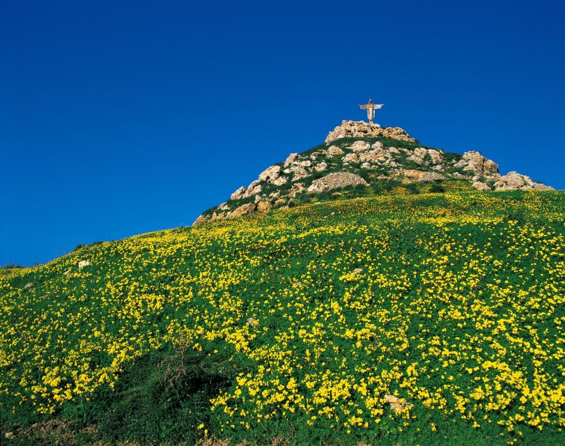 Gozo Day Pass Ferry and Hop-on Hop-off buses with audio Tour - Gozo by ferry and open-top bus: the day-trip idea in plain terms