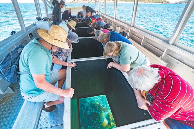 Great Keppel Island Glass Bottom Boat Tour & Ferry Transfer - Key highlights worth knowing