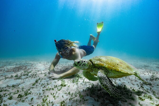 Great Keppel Island Glass Bottom Boat Tour & Ferry Transfer - Why the glass-bottom reef tour is the whole point