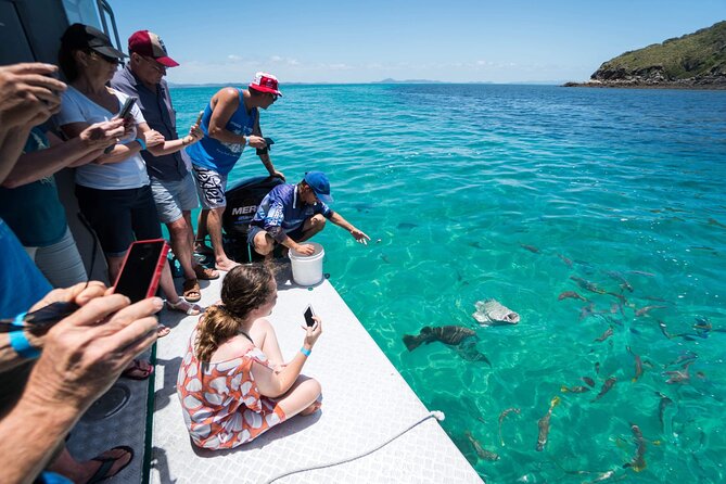 Great Keppel Island Glass Bottom Boat Tour & Ferry Transfer - The 1-hour onboard experience: marine biologist + Master Reef Guide