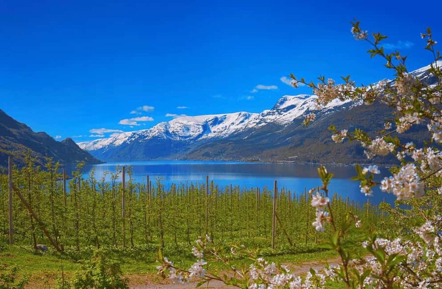 Guided tour: Hardangerfjord, Waterfalls and Ferry crossing - Key highlights worth making time for