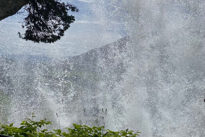 Guided tour to Hardanger Fjord, Waterfalls and Ferry Crossing - Norheimsund lunch break: a fjord town pause you can actually use