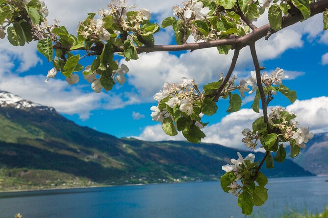 Guided tour to Hardanger Fjord, Waterfalls and Ferry Crossing - Kvanndal ferry at 2:00 pm: ride the fjord like a local