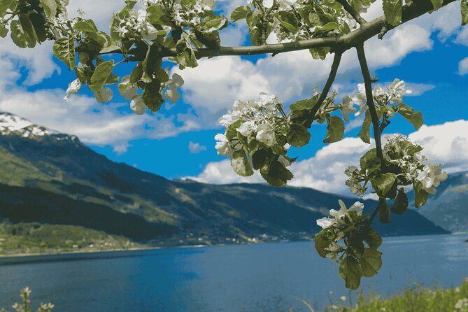 Guided tour to Hardangerfjord with Waterfalls and Ferry Crossing - Price and value: is $236.93 worth it?