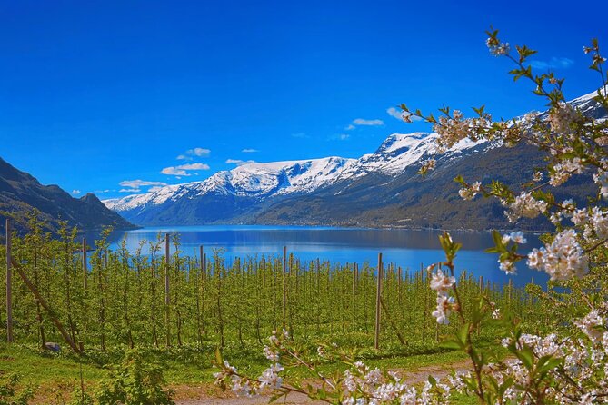 Guided tour to Hardangerfjord with Waterfalls and Ferry Crossing - Norheimsund lunch time: where you can actually reset