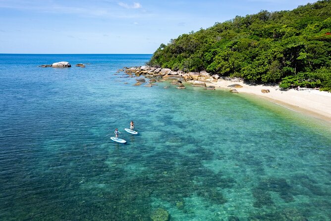 Half Day Morning Adventure - Fitzroy Island Return Ferry Included - Fitzroy Island in Half a Day: What You Actually Get