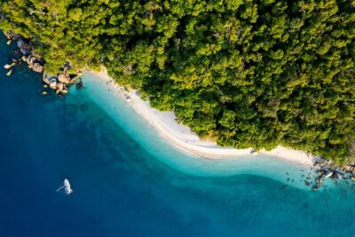 Half Day Morning Adventure - Fitzroy Island Return Ferry Included - Nudey Beach Coral Shore: How to Swim and Snorkel Smart