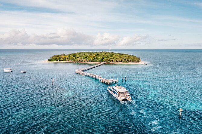 Half Day Morning Adventure - Fitzroy Island Return Ferry Included - Should You Book Fitzroy Island Half Day Morning Adventure?