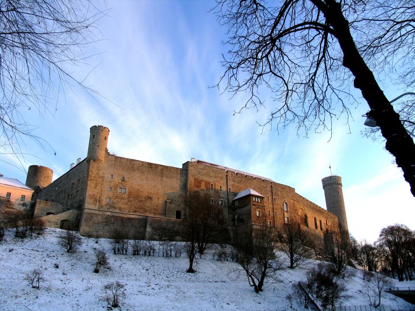 Helsinki: Tallinn Guided Day Tour with Ferry Crossing - Free Time in Tallinn: Lunch, Souvenirs, and DIY Wandering