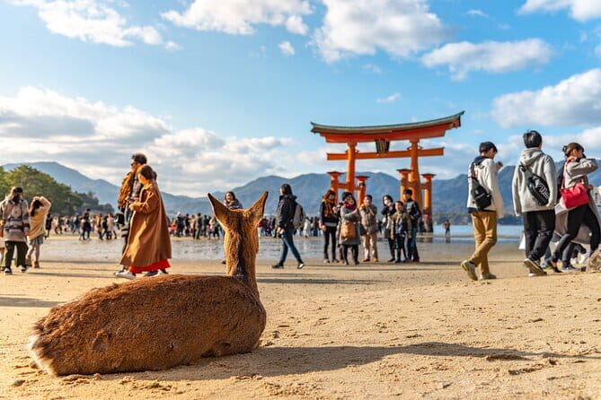 Hiroshima and Miyajima Day Trip with Itsukushima Shrine & Ferry - Key things to know before you go