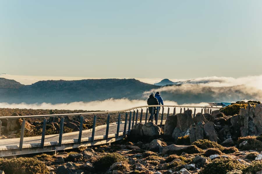 Hobart: Mt Wellington, Mt Field, Bonorong and Richmond Trip - The New Norfolk stop: history and a quick reset