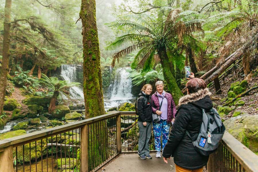 Hobart: Mt Wellington, Mt Field, Bonorong and Richmond Trip - Price and value: is about $126 per person a smart move?
