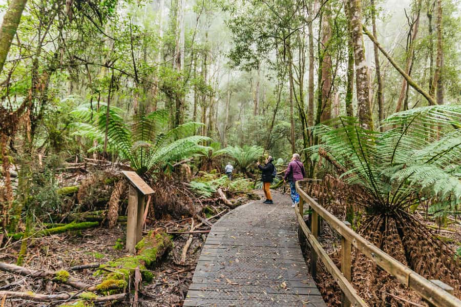Hobart: Mt Wellington, Mt Field, Bonorong and Richmond Trip - Who this day trip suits best