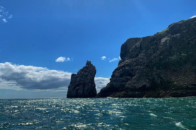 Howth Cliffs and Ireland's Eye Ferry Boat Tour - Cruising past the Cliffs of Howth: the no-walk way to see the coastline structure