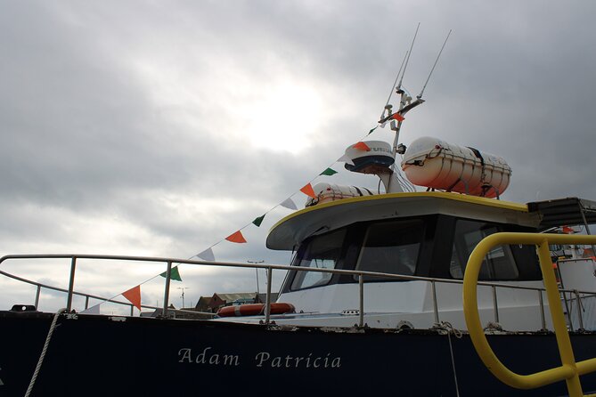 Howth Cliffs and Ireland's Eye Ferry Boat Tour - Ireland’s Eye nature reserve: seals, birds, the Martello Tower, and the Kirwan story