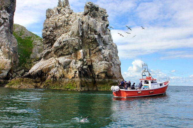 Howth Coastal Boat Tour (Ireland's Eye Ferries 50 mins trip) - Key things to know before you go